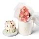Dreamy Gift