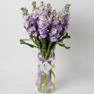 فازة المنثور البنفسجي