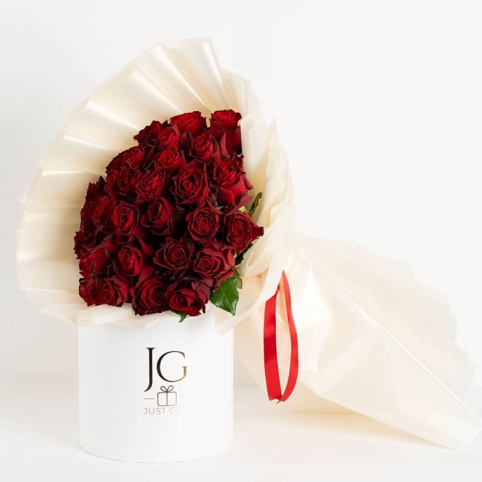 Red Elegance