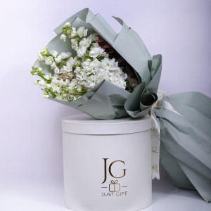 ماثيولا اللؤلؤ