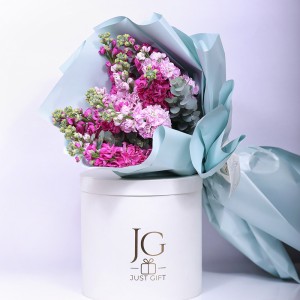 ماثيولا الغيمة