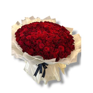 Infinity two Hundred love Roses 