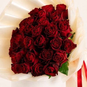 الأناقة الحمراء