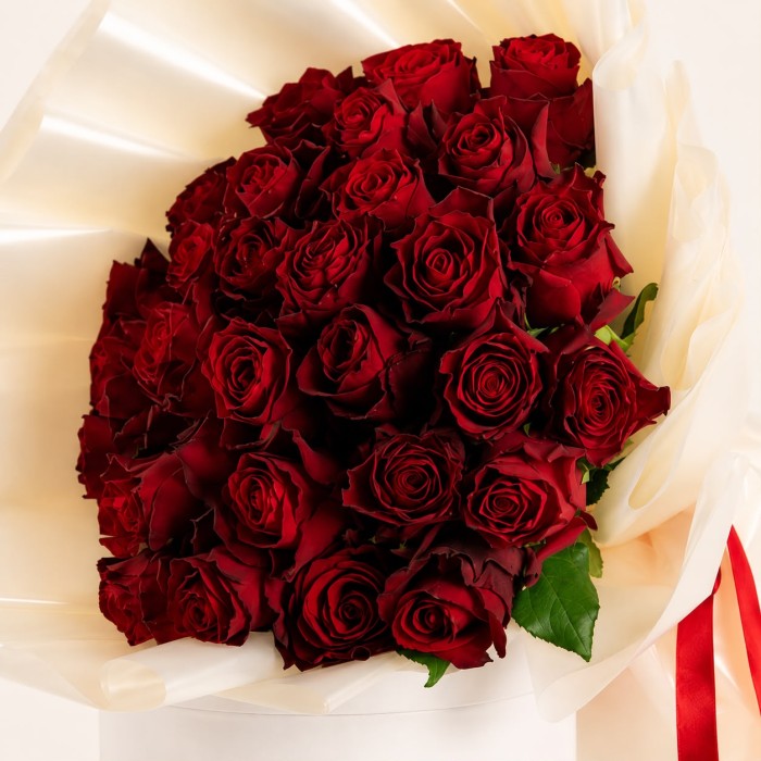 الأناقة الحمراء