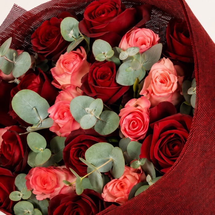 Lovely Pink Red