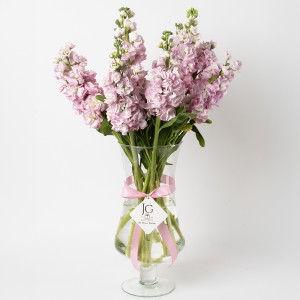 فازة المنثور الوردي