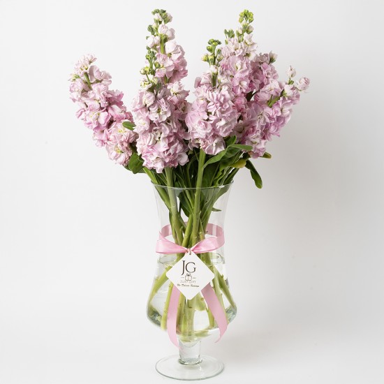 فازة المنثور الوردي