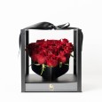 Red Heart Sparkle