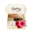 Little Sorry Package