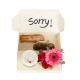 Little Sorry Package