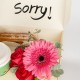 Little Sorry Package
