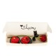 lovely Day Package