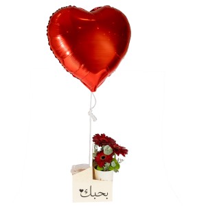 True Love Package 