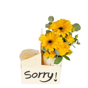 Sorry Moments Package 
