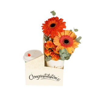 Congrats Package
