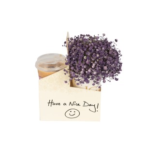 Nice Day Package