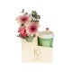 Bright Day Package