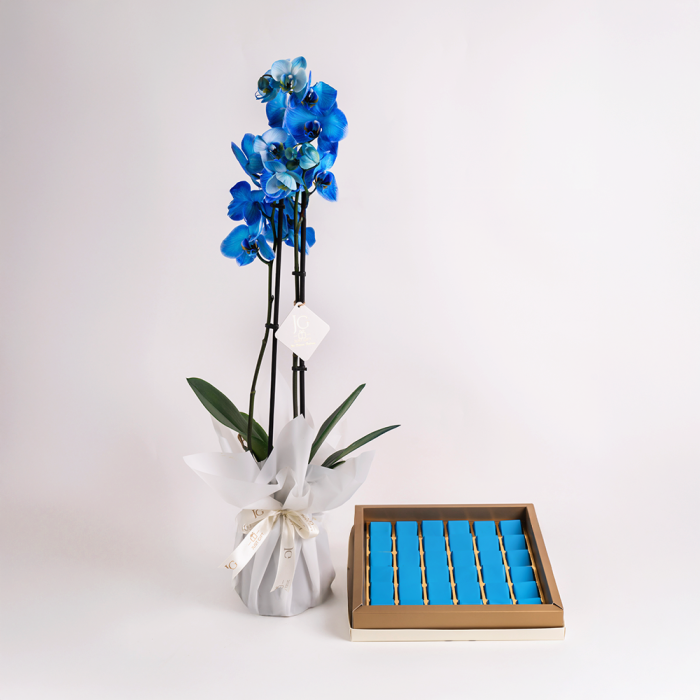 Orchid Soul Package 