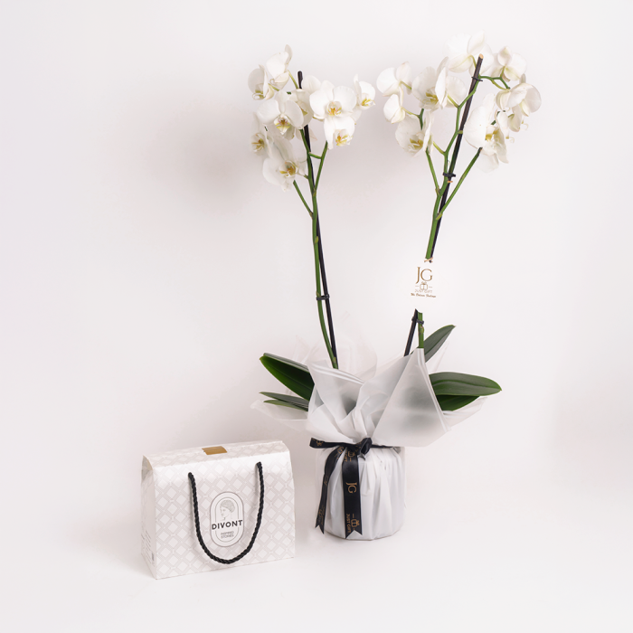 Orchid Purity Package