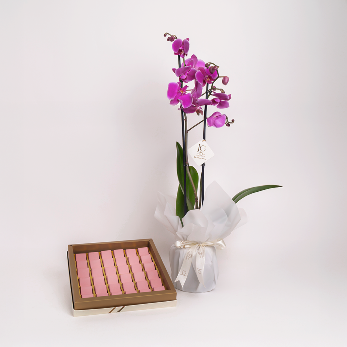 Orchid Rays Package