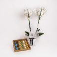Golden Orchid Package 
