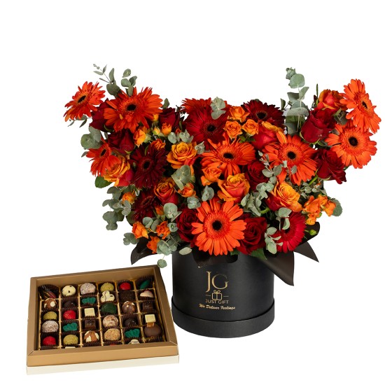 Life In Colors Package