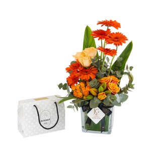 Amora Package 