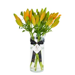 Orange Lilly Package 