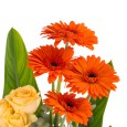 New Sunrise Vase