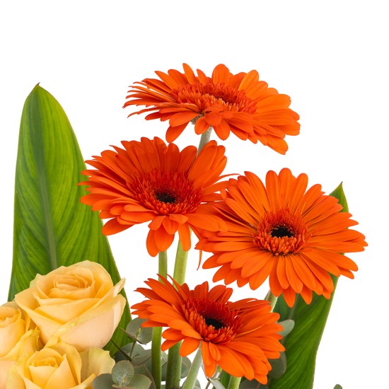 New Sunrise Vase