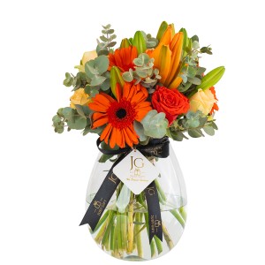 Orange Vibes Package