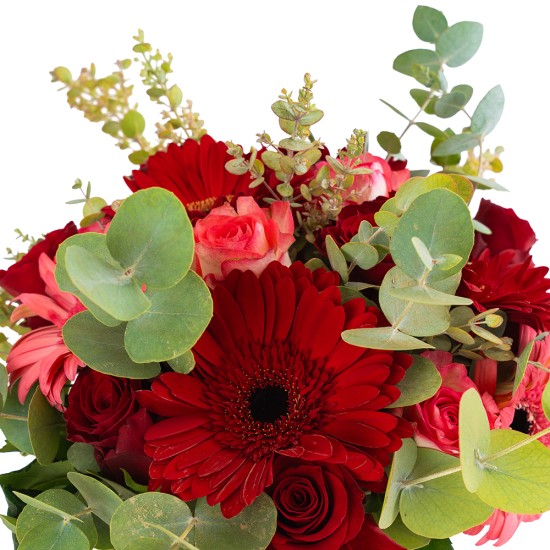 Rosy Red Vase