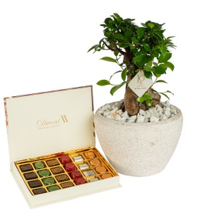 Bonsai Package