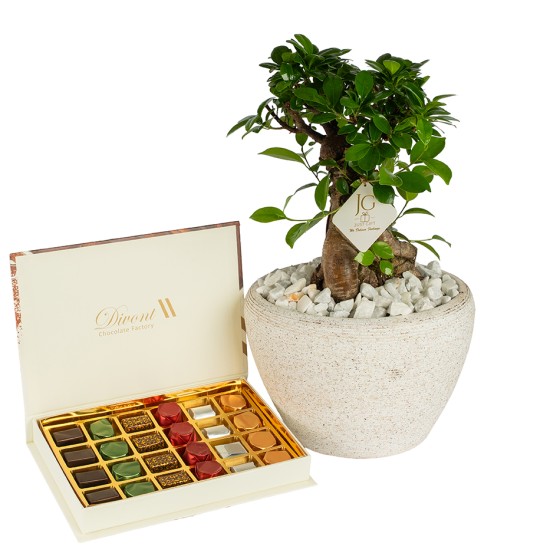 Bonsai Package