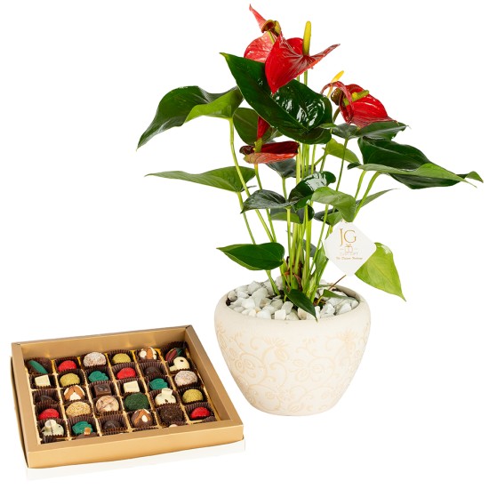 Luxury Leaves Package