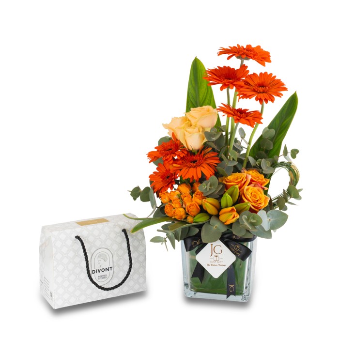 Amora Package 