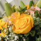 Sunny Bloom