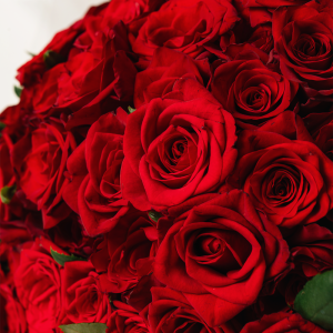 Infinity one Hundred Fifty Roses 