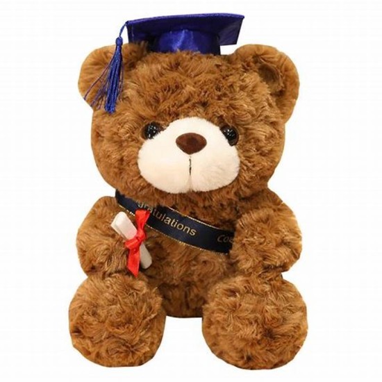 Brown teddy bear graduation