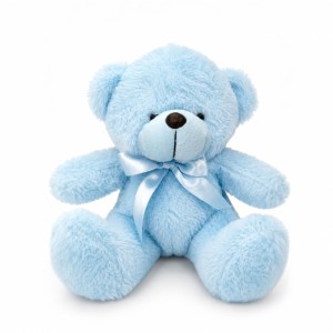 Blue Small Teddy Bear