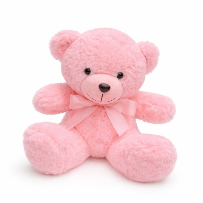 Pink Small Teddy Bear