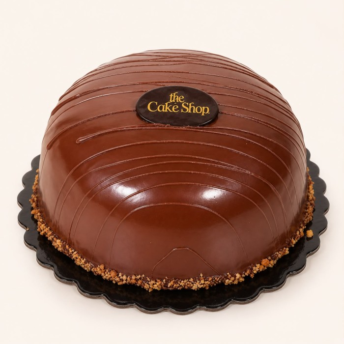 Chocolate Bomb Cake