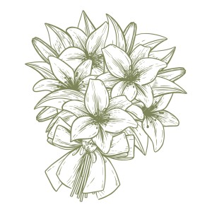 ورود