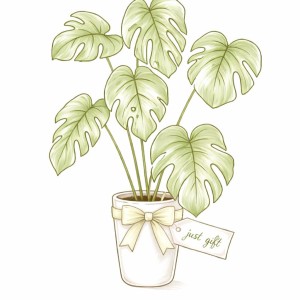 Plants