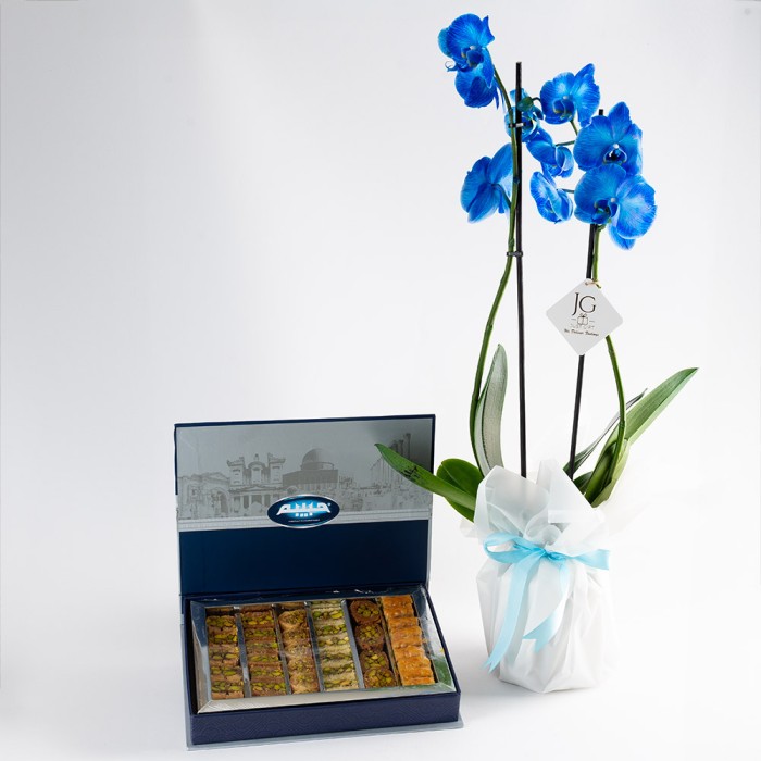 Blue Elegance Package 