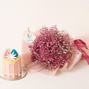 Pink Gypsophila Package