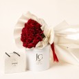 Shining Light Package
