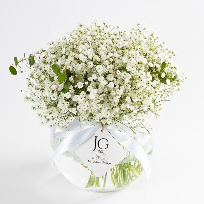 Gypsophile Vase