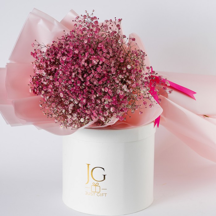 Pink Gypsophile 