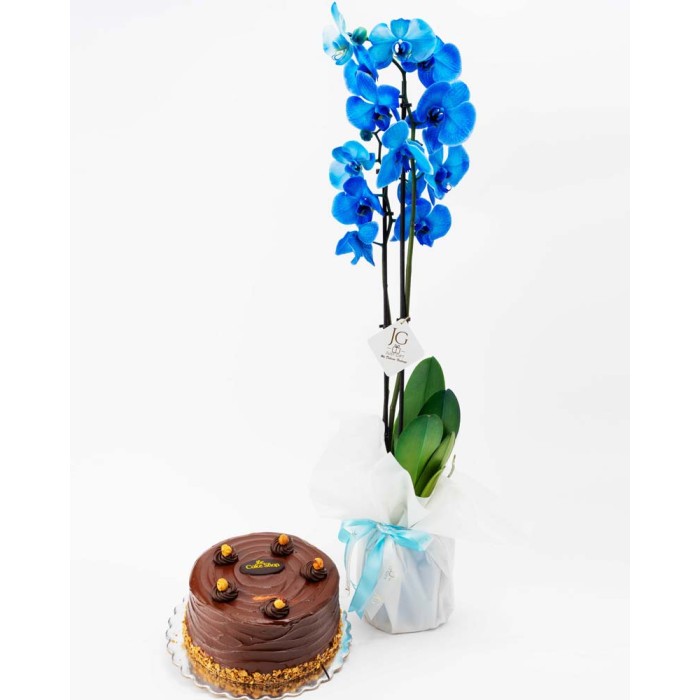 Blue Orchid Package